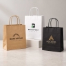 Custom Paper Bags for Retail and Gift Packaging thumbnail 2