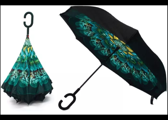 Umbrella